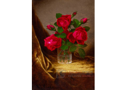 A-1476 Martin Johnson Heade - Rudé růže ve skleněné váze