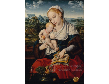 KO V-452 Joos van Cleve - Madonna s dítětem