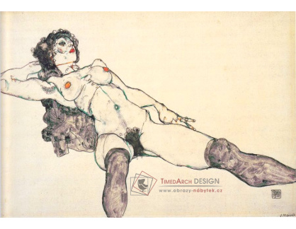 VES 26 Egon Schiele - Ležící ženský akt s roztaženými nohami