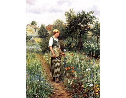 VSO75 Daniel Ridgway Knight - Na zahradě