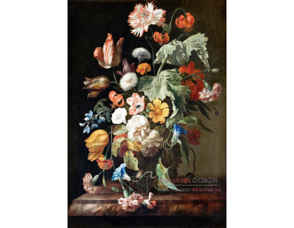 DDSO-4468 Rachel Ruysch - Zátiší s květinami