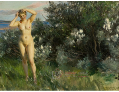 A-6794 Anders Zorn - U jezera Siljan