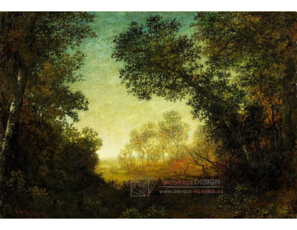 D-7584 Ralph Albert Blakelock - Houští