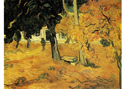 VR2-131 Vincent van Gogh - Zahrada nemocnice Saint-Paul