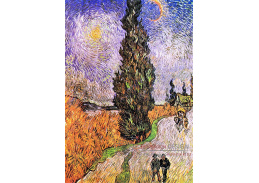 VR2-368 Vincent van Gogh - Cesta v Saint-Rémy s cypříši a hvězdami