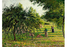 VCP-397 Camille Pissarro - Sušení sena v jablečném sadu v Eragny