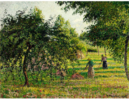VCP-397 Camille Pissarro - Sušení sena v jablečném sadu v Eragny