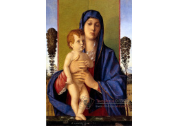 SO VII-113 Giovanni Bellini - Madonna Alberetti