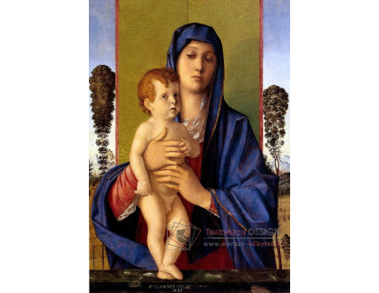 SO VII-113 Giovanni Bellini - Madonna Alberetti