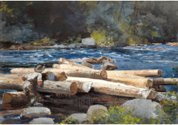 SO XIV-240 Winslow Homer - Řeka Hudson