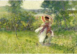 D-7597 Richard E. Miller - Slunečník