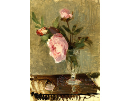 D-7773 Berthe Morisot - Pivoňky