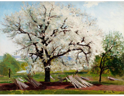 SO IV-178 Carl Fredrik Hill - Kvetoucí ovocné stromy