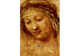 VR1-13 Leonardo da Vinci - Studie ženy
