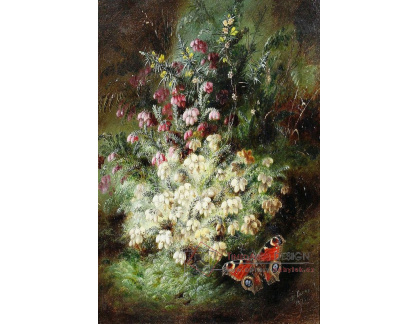 VRHZ 46 Hans Zatzka - Zátiší s květinami a motýlem