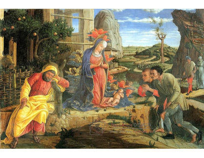 SO VI-202 Andrea Mantegna - Klanění pastýřů