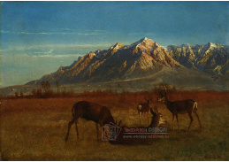 D-6974 Albert Bierstadt - Jeleni v horách