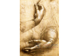 R1-194 Leonardo da Vinci - Studie dlaní