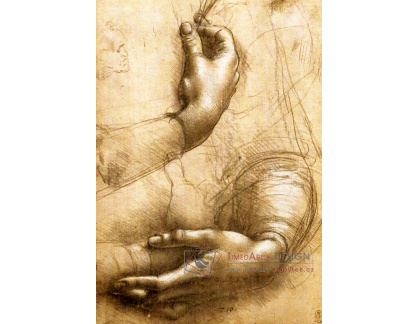 R1-194 Leonardo da Vinci - Studie dlaní