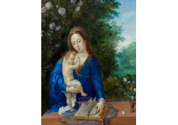 DDSO-204 Jan Brueghel - Madonna a dítě v krajině