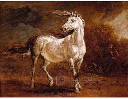 VSO 906 James Ward - Kůň v krajině