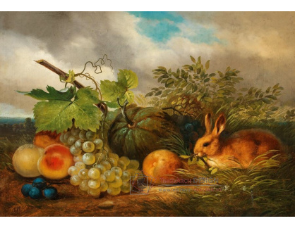 A-5509 Neznámý autor - Zátiší s dýní, hrozny a králíky