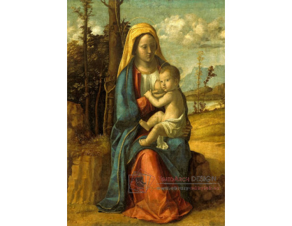VSO1383 Cima da Conegliano - Madonna s dítětem
