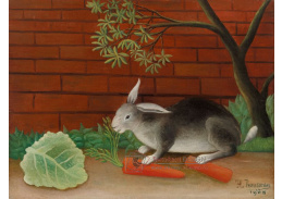 D-8165 Henri Rousseau - Králičí jídlo