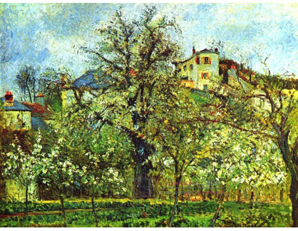 VCP-305 Camille Pissarro - Ovocná zahrada s kvetoucími stromy
