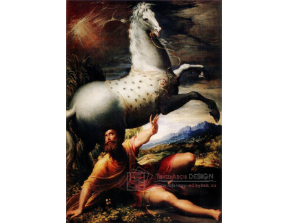SO VII-221 Parmigianino - Pavlova proměna