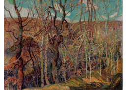 KO III-138 Franklin Carmichael - Stříbrná změť