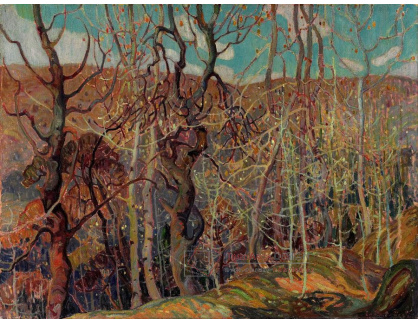 KO III-138 Franklin Carmichael - Stříbrná změť