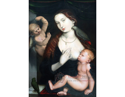 KO V-439 Hans Baldung - Madonna s dítětem a papoušky