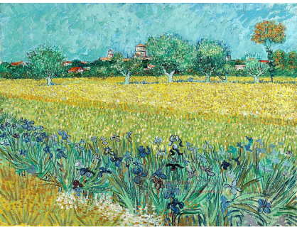 VR2-54 Vincent van Gogh - Pohled na Arles s kosatci v popředí