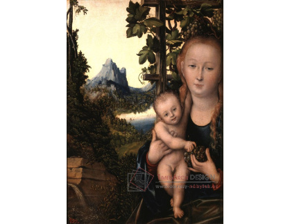 VlCR-150 Lucas Cranach - Madonna s dítětem