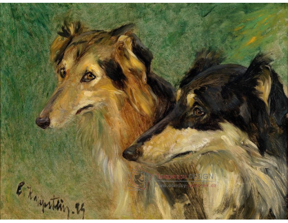VN-56 Carl Friedrich Kappstein - Portréty dvou psů Borzoj