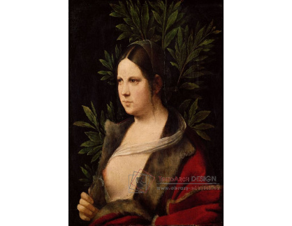 SO VII-108 Giorgione - Laura
