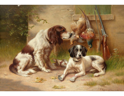 SO XVI-371 Carl Reichert - Lovečtí psi hlídající bažanty