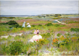 DDSO-4337 William Merritt Chase - Krajina Long Islandu