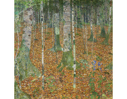 VR3-129 Gustav Klimt - Břízový les