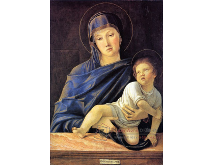 SO VII-119 Giovanni Bellini - Madonna a dítě