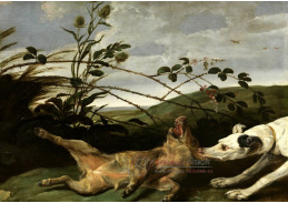 A-5351 Frans Snyders - Mladý divočák napadený loveckým psem