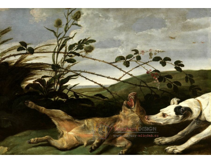 A-5351 Frans Snyders - Mladý divočák napadený loveckým psem