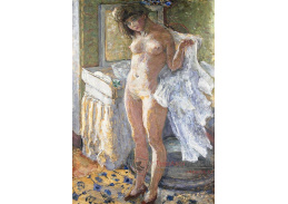 SO X-99 Pierre Bonnard - Po koupeli