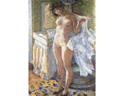 SO X-99 Pierre Bonnard - Po koupeli