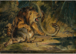 A-2050 Edwin Landseer - Lev bránící svou kořist