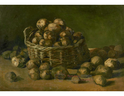 A-3205 Vincent van Gogh - Koš brambor