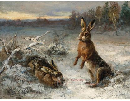 A-8615 Anton Weinberger - Dva zajíci na sněhu
