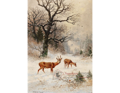 D-9020 Adolf Kaufmann - Srnec v zimním lese