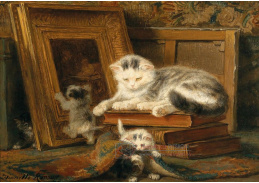 D-9432 Henriette Ronner Knip - Hra na schovávanou